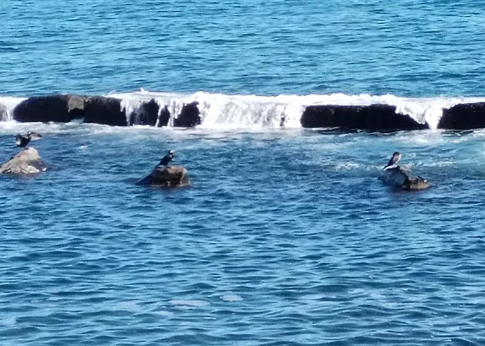 Mar Dei Poeti - Luxury فندق مبيت وإفطار ريبوسْتو